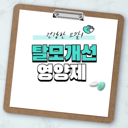 탈모 영양제 추천