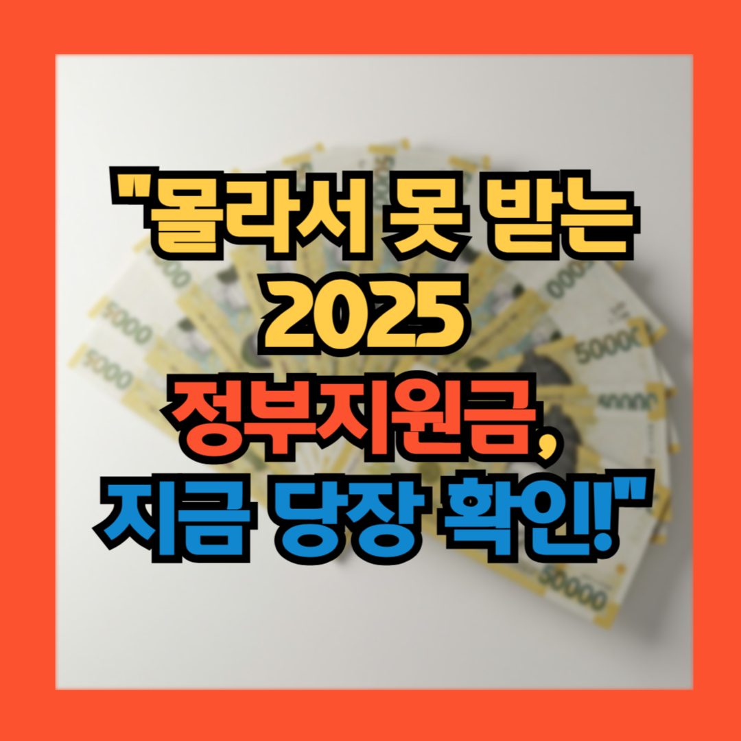 정부지원금 2025 조건,신청방법