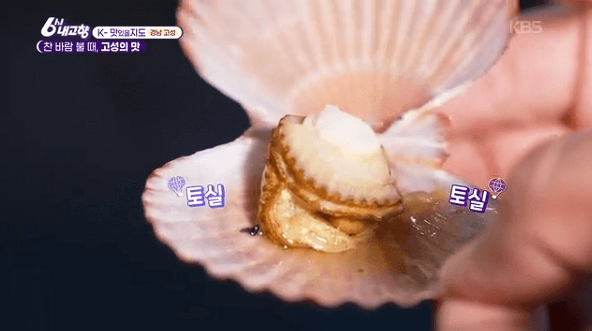 [6시내고향]경남 고성 제철 홍가리비 &amp;#39;계림새우나라&amp;#39; 예약 위치 연락처 정보