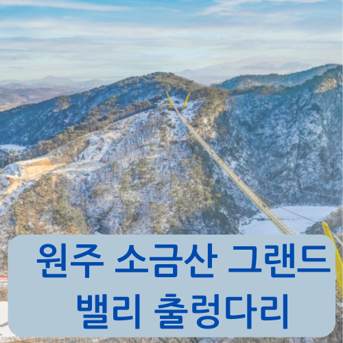 원주 소금산 그랜드 밸리 출렁다리
