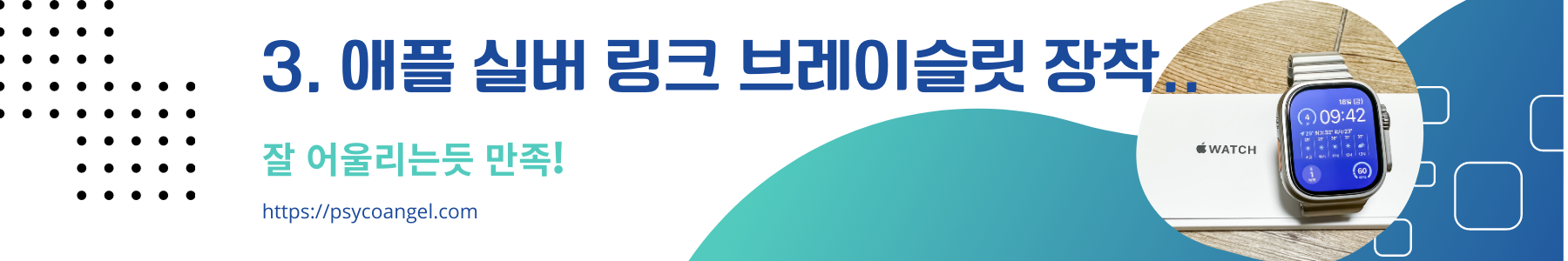 애플 링크 브레이슬릿 타이틀