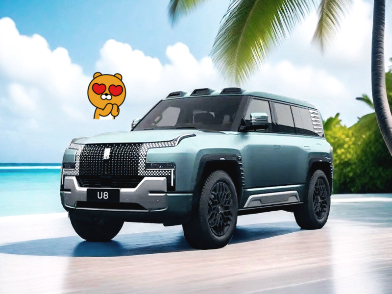 BYD 산하 자동차, SUV U8