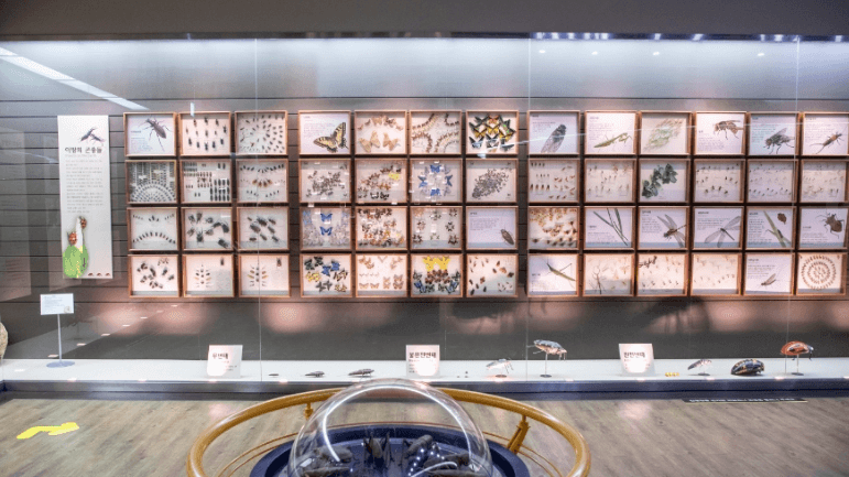 목포 가볼만한곳 베스트10