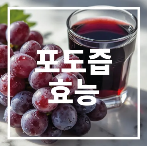 포도즙 효능