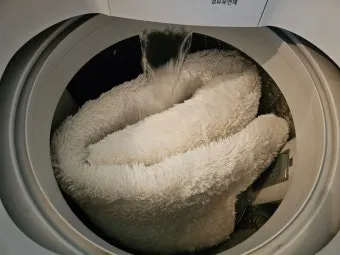 러그 세탁 드라이클리닝 표지 확인과 국소세척 요령_21