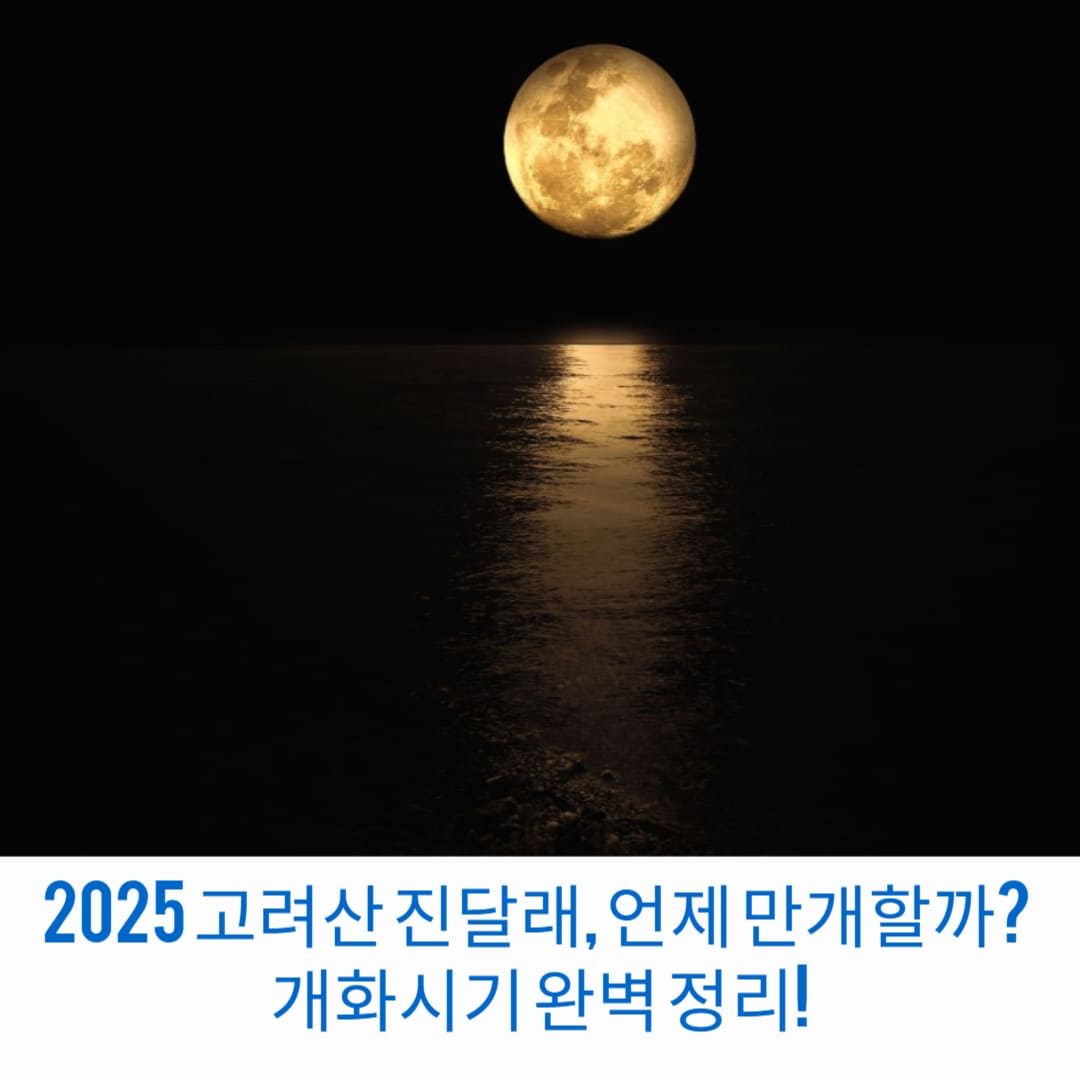 2025-고려산-진달래-언제-만개할까-개화시기-완벽-정리-썸네일