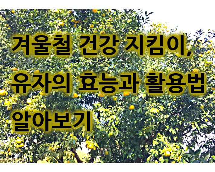 Alt 속성 문제 해결 설명 이미지
