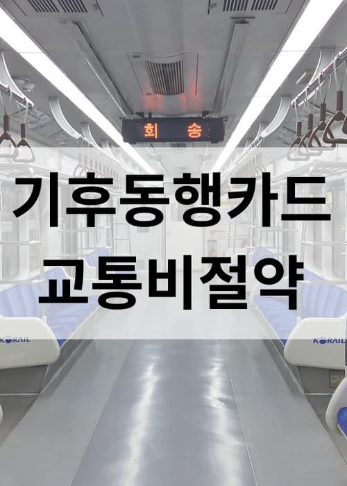 교통비절약기후동행카드