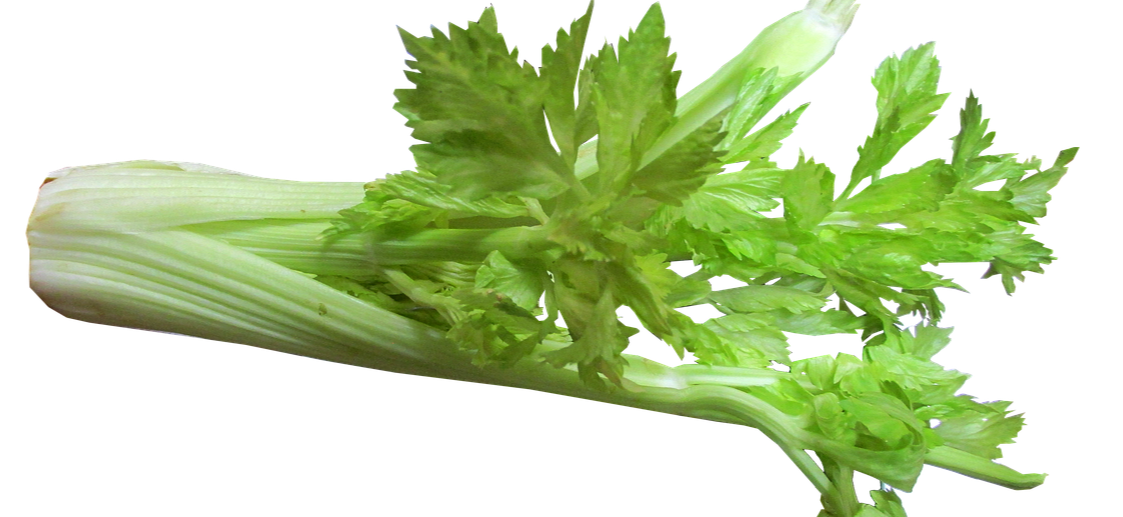 셀러리