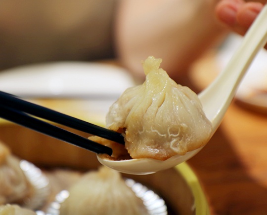 강남 서초 딤섬 완탕 '브루스리'