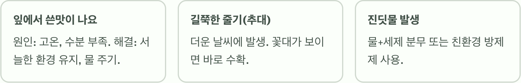 실패 없는 버터헤드상추 키우기 A to Z (씨앗 파종, 물주기, 관리)