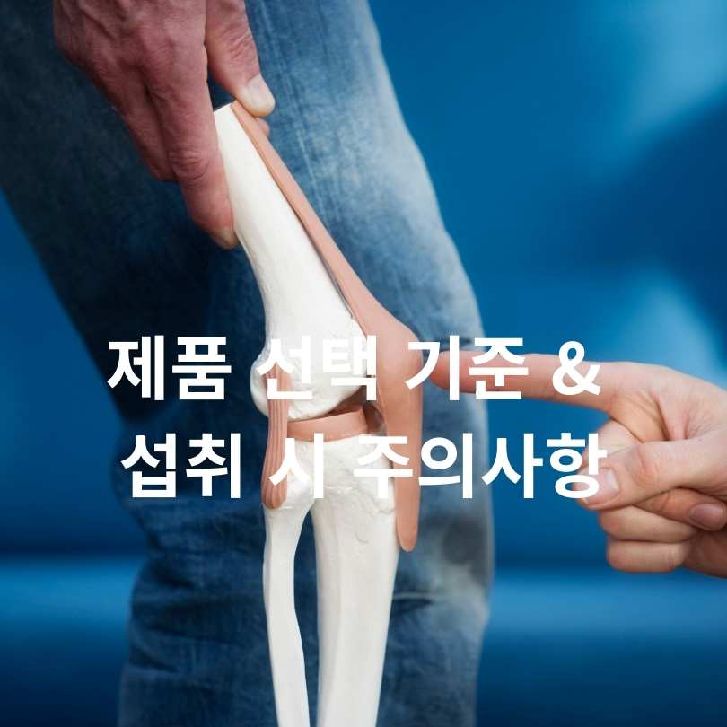 콘드로이친 소연골과 상어연골 차이