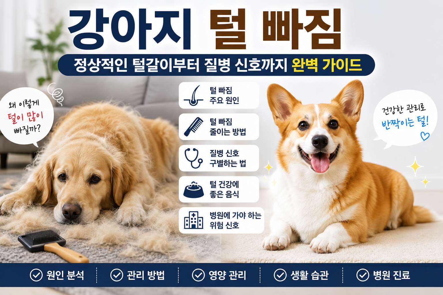 강아지 털 빠짐 원인과 관리 방법 대표 이미지