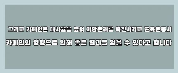  그리고 카페인은 대사율을 높여 지방분해를 촉진시키고 근육운동시 카페인의 영향으로 인해 좋은 결과를 얻을 수 있다고 합니다