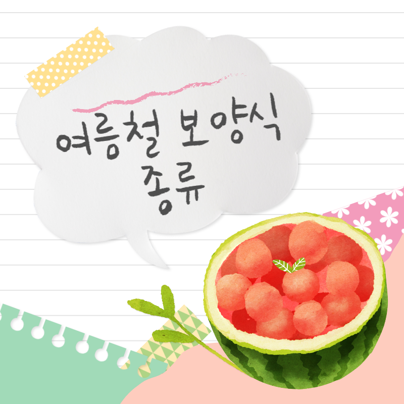 여름철 보양식 종류