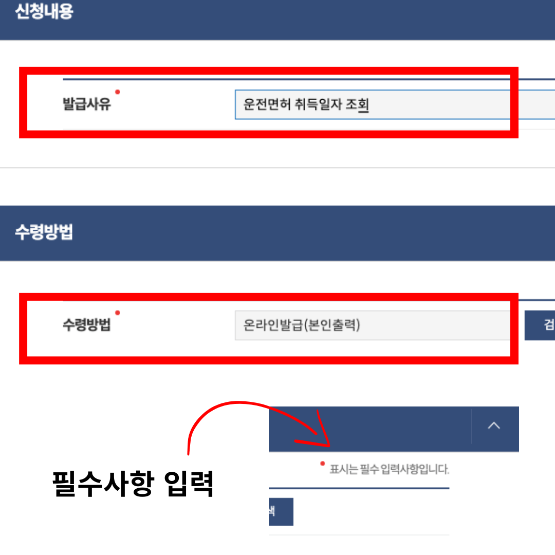 발급사유
