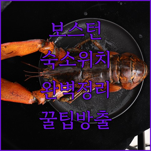 보스턴 자유여행 숙소 위치 선정 가이..