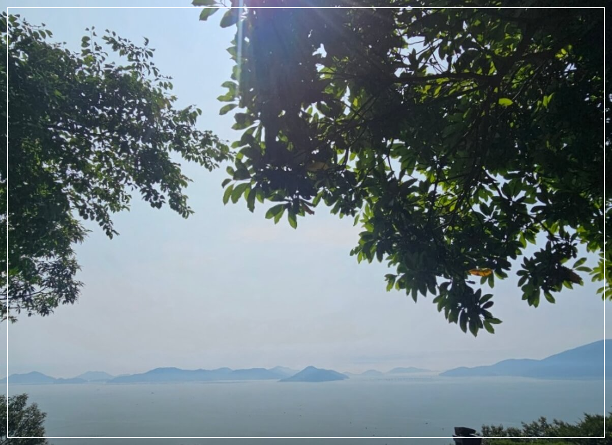 완도 가볼만한곳 베스트10 약산 해안치유의 숲