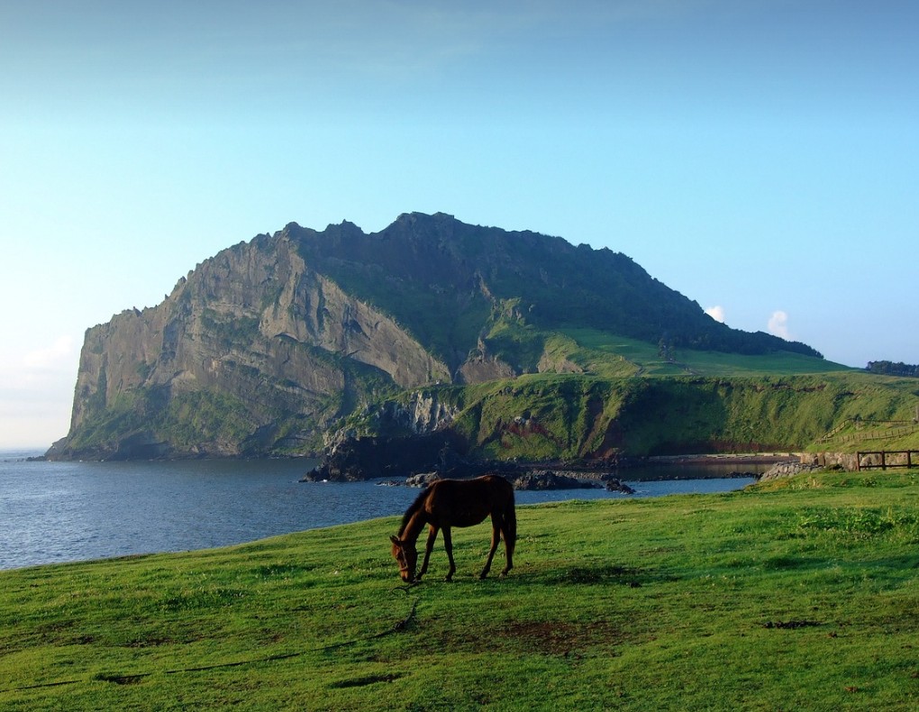 국내 여행 키즈 힐링, 먹거리, 풍경 사진 촬영 명소 TOP 5 관련 사진