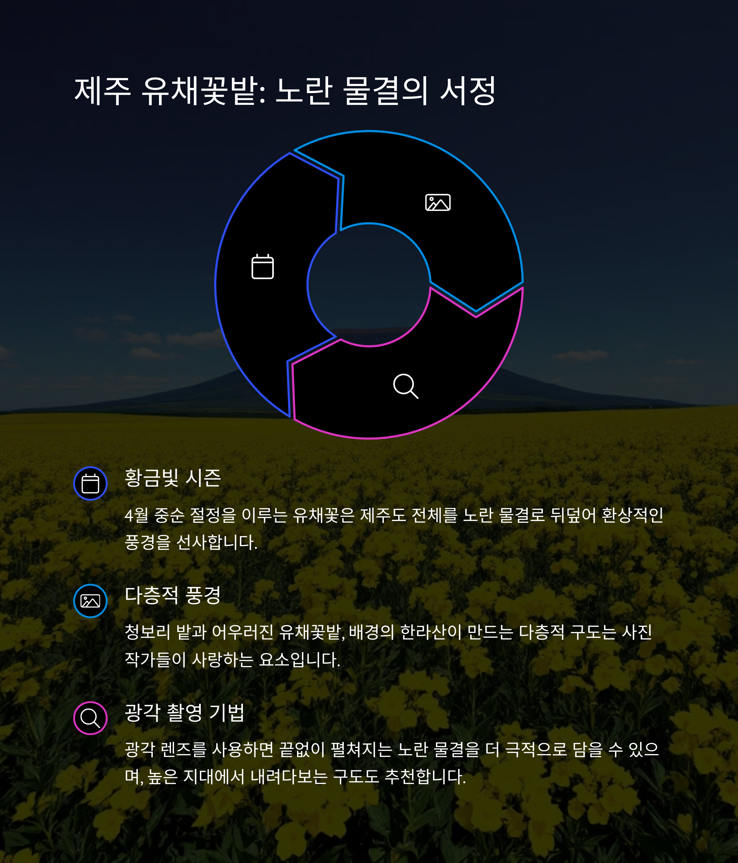 사진 찍기 좋은 봄꽃 명소 베스트 10