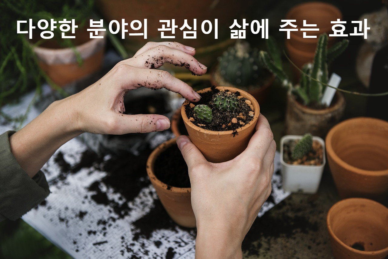 식물 가꾸기