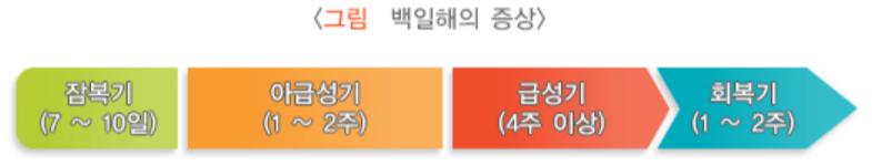 백일해 예방접종