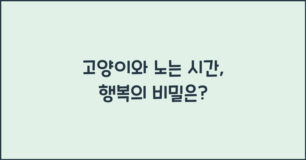 고양이와 노는 시간