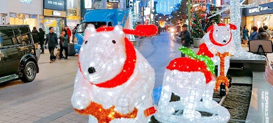 부산 광복로 겨울빛 트리축제