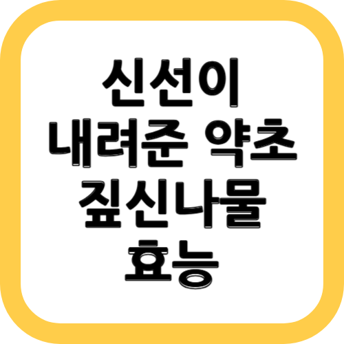 짚신나물 효능