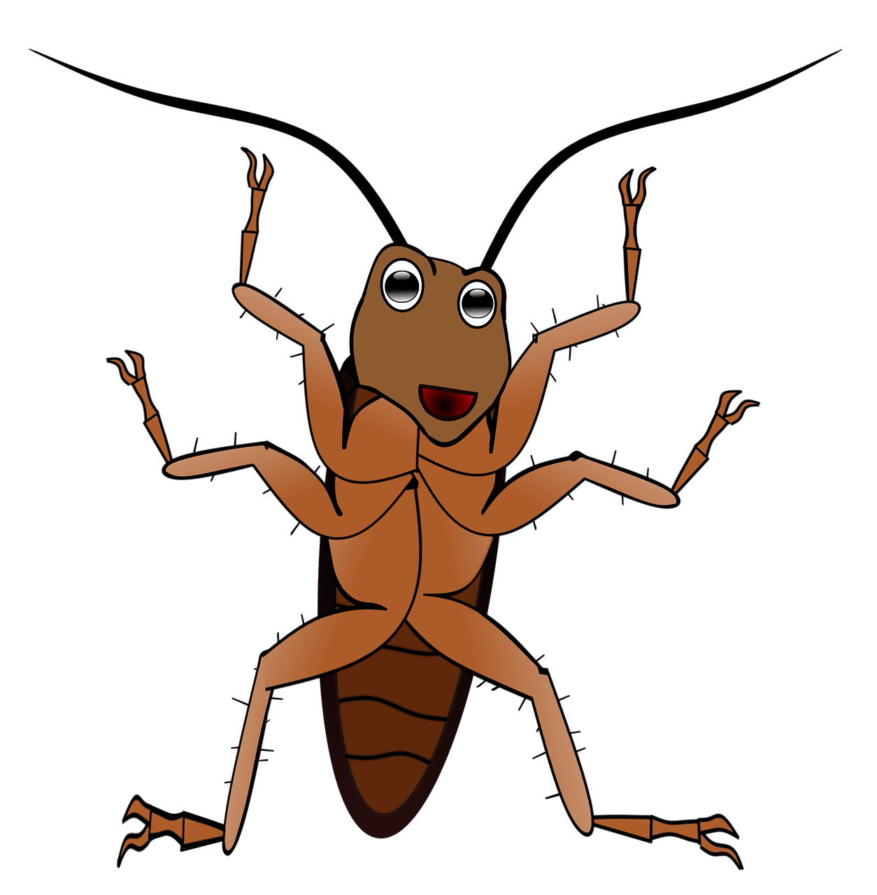 바퀴벌레 꿈해몽