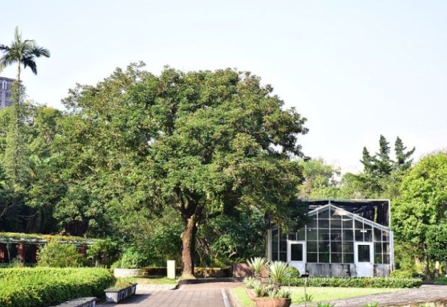 타이베이 식물원 관련 사진