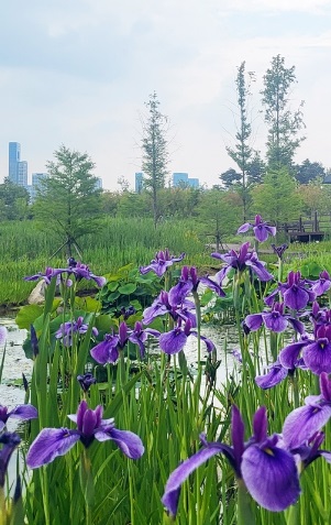 어린이날가볼만한곳best10