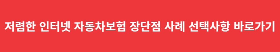 저렴한 인터넷 자동차보험 장단점 사례 선택사항