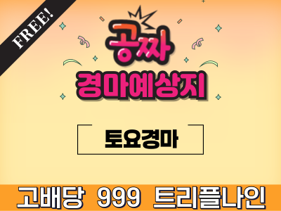 마사일호 트리플나인 경마예상지