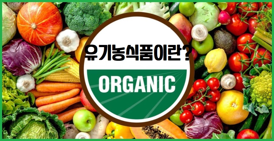 유기농 식품