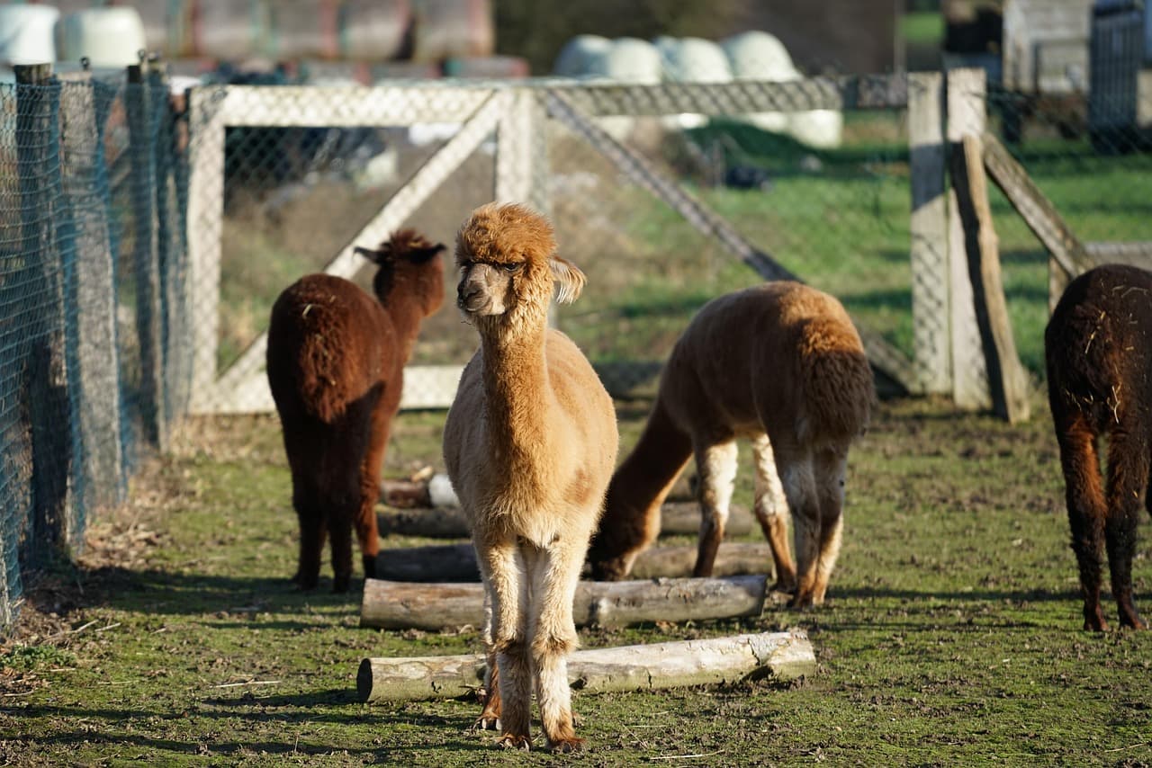 🏖️ 여름철 가족 여행지 추천! 초등학생 자녀와 함께 가기 좋은 홍천 명소 BEST 3