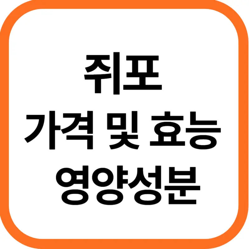 쥐포 가격 및 효능&#44; 영양성분