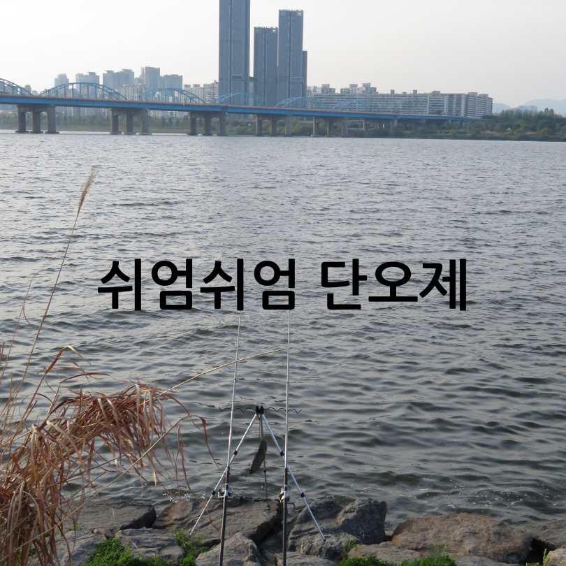 쉬엄쉬엄 한강 3종 축제