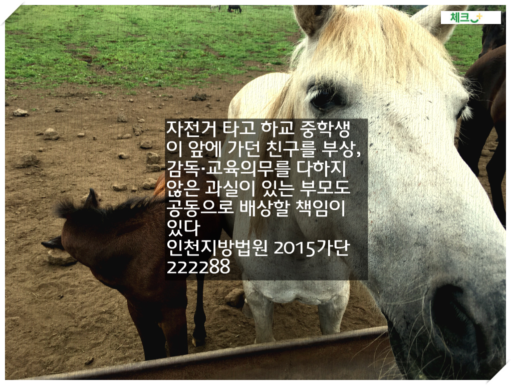 자전거 타고 하교 중학생이 앞에 가던 친구를 부상, 감독·교육의무를 다하지 않은 과실이 있는 부모도 공동으로 배상할 책임이 있다