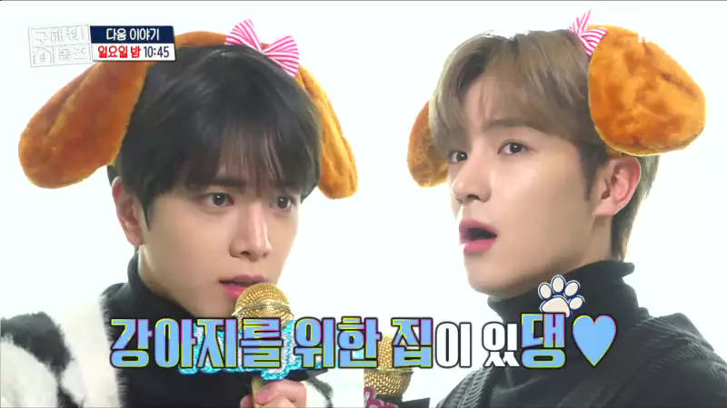 구해줘홈즈 댕댕하우스 동물병원 인접 서울시 광진구 중곡동 전세 매매 매물 가격 및 구조 인테리어 리모델링 최종선택 더보이즈 영훈 현재 소개