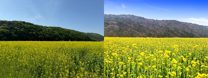 보령시