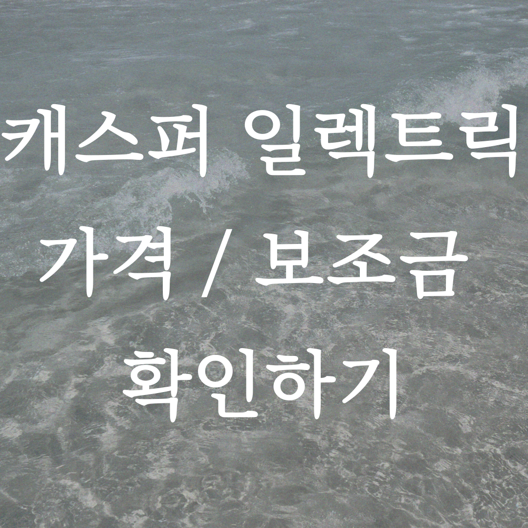 캐스퍼 일렉트릭 가격, 보조금, 사전 예약 분석