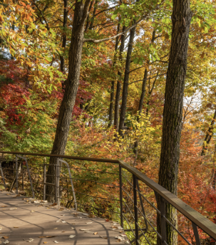 2025 화담숲 단풍축제 예약 완벽 가이드 | 절정시기·꿀팁 총정리