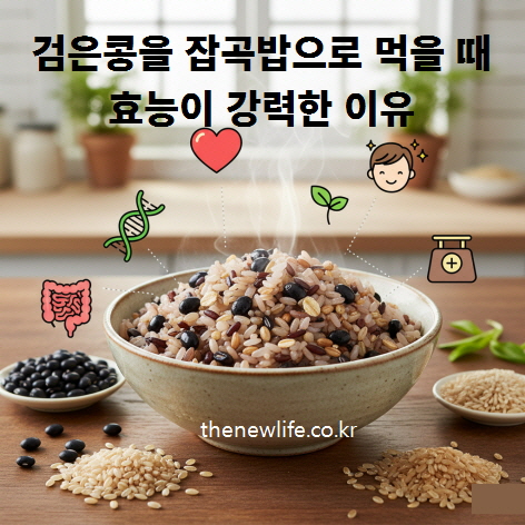 검은콩 잡곡밥 효능 – 검은콩과 보리, 귀리, 현미가 조화된 잡곡밥 한 그릇으로 영양 균형과 건강 효과가 강화된 모습
