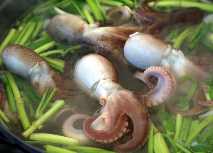 주꾸미