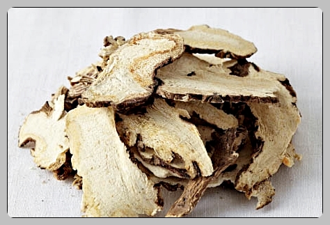 공진단 가격 효능 총정리