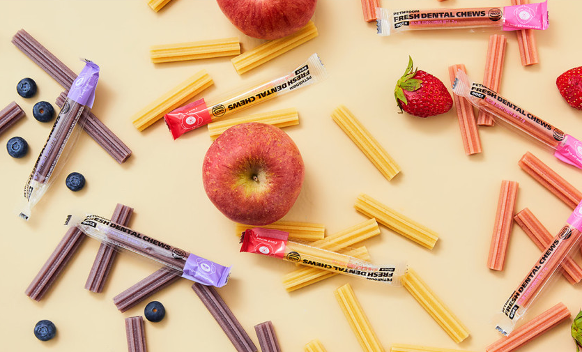 강아지 치석제거 껌 추천