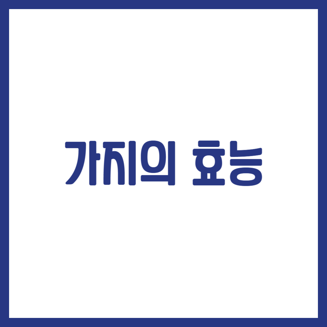 가지의 효능