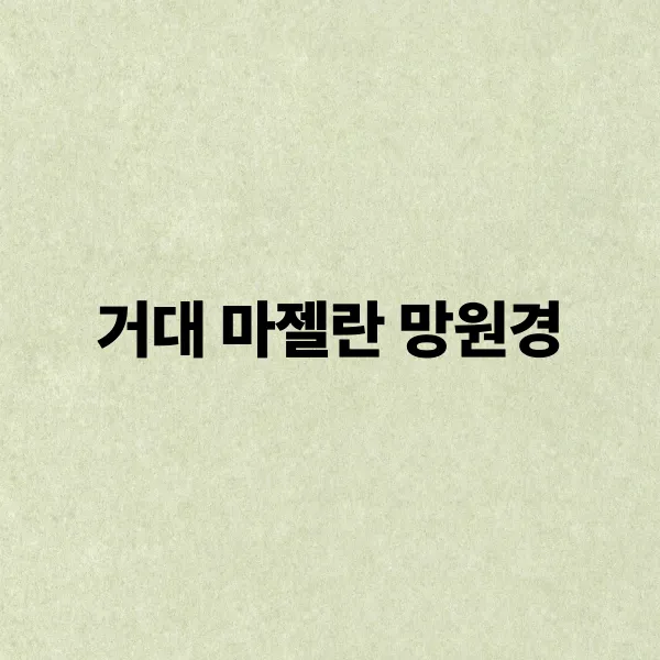 거대 마젤란 망원경