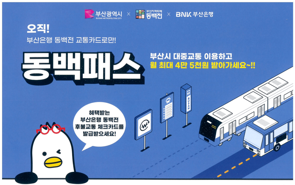 동백패스-홍보-이미지